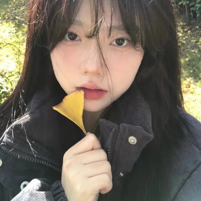 蝉翼传奇